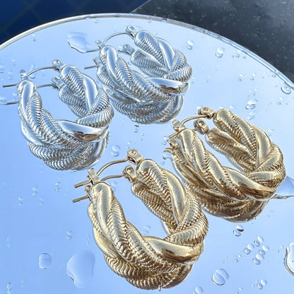 Stainless steel earrings,