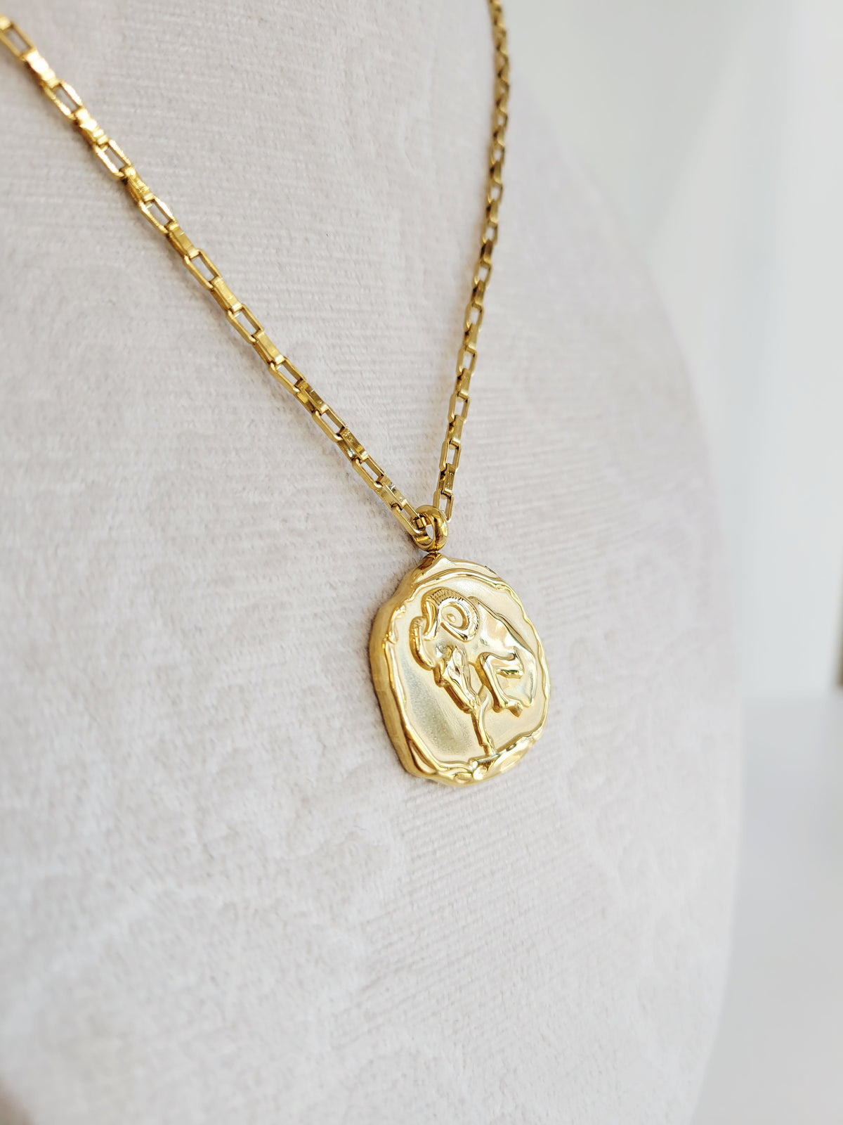 Gold Zodiac Coin Necklace – Choose Your Sign