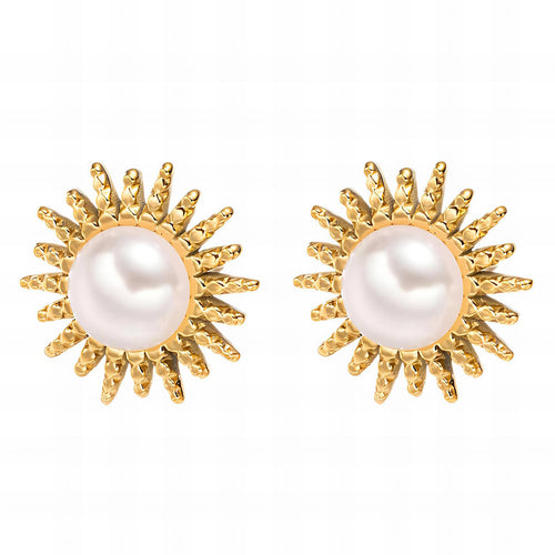 18K gold plated Stainless steel earrings,