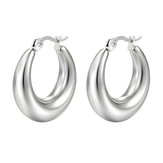 Stainless steel earrings,