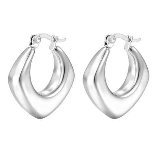 Stainless steel earrings,