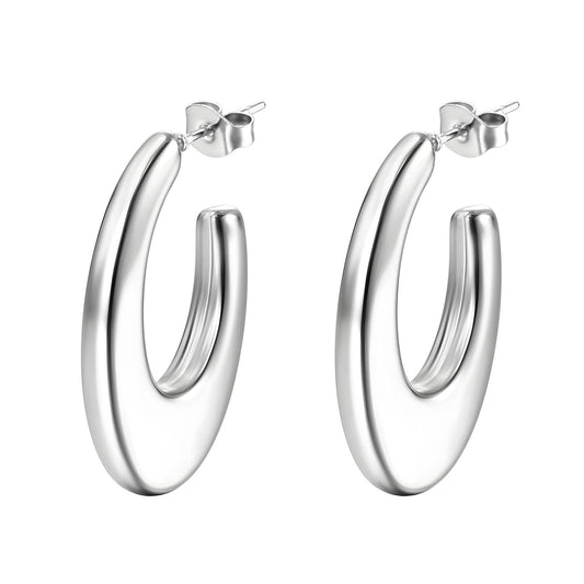 Stainless steel earrings,