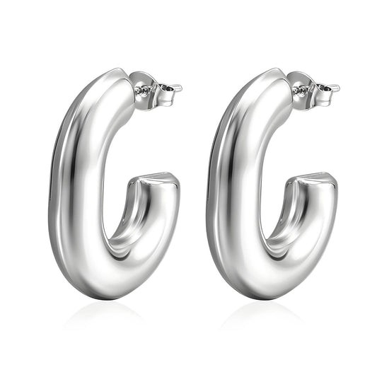 Stainless steel earrings,