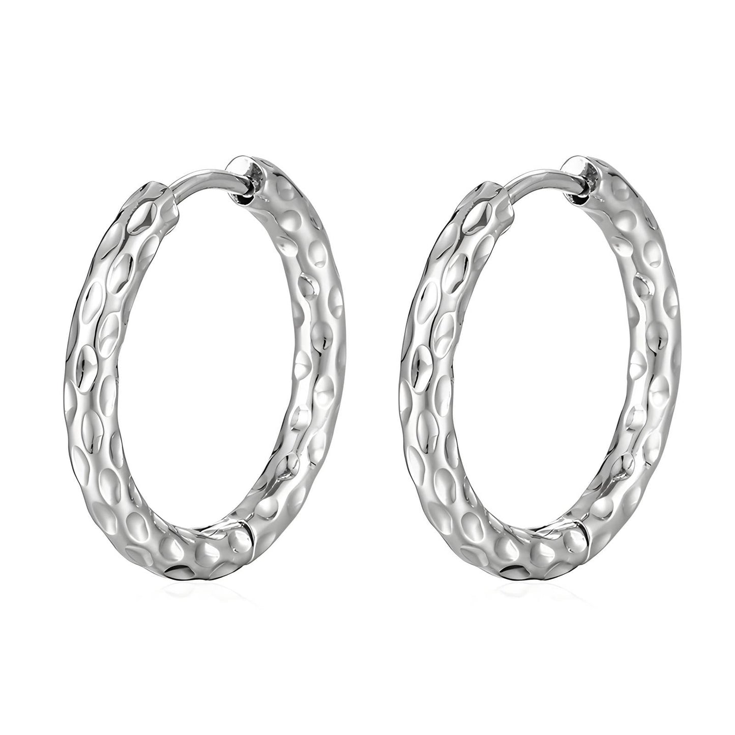 Stainless steel earrings,