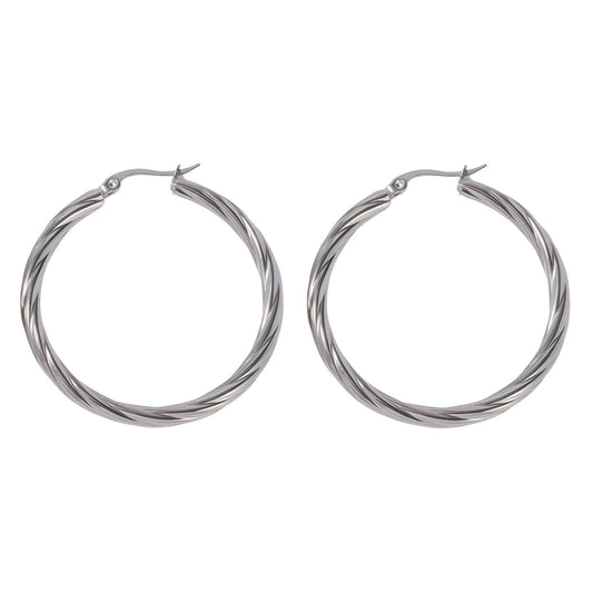 Stainless steel earrings,