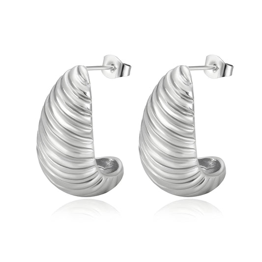 Stainless steel earrings,