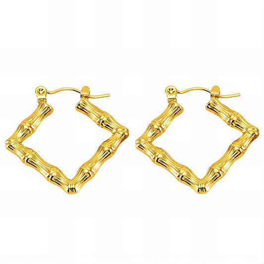 18K gold plated Stainless steel earrings,