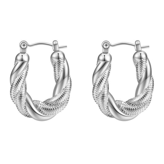 Stainless steel earrings,