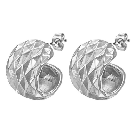 Stainless steel earrings,