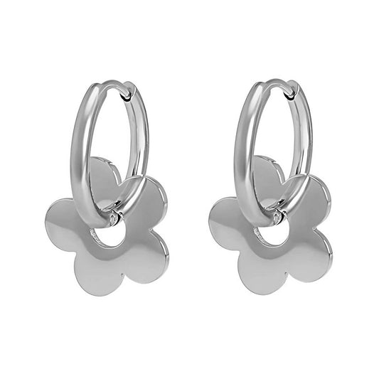 Stainless steel earrings,