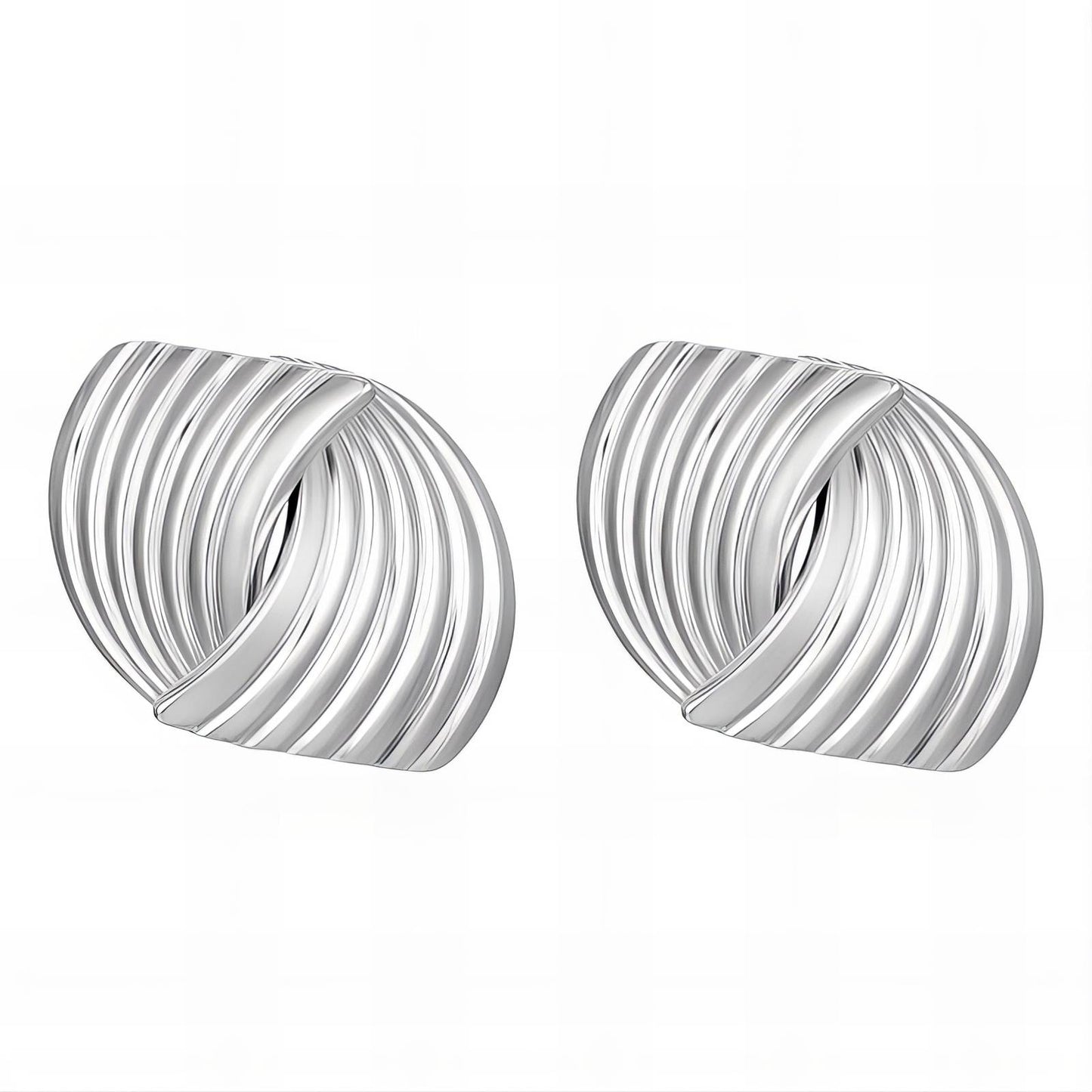 Stainless steel earrings,