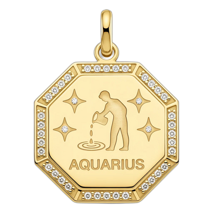Zodiac Charms