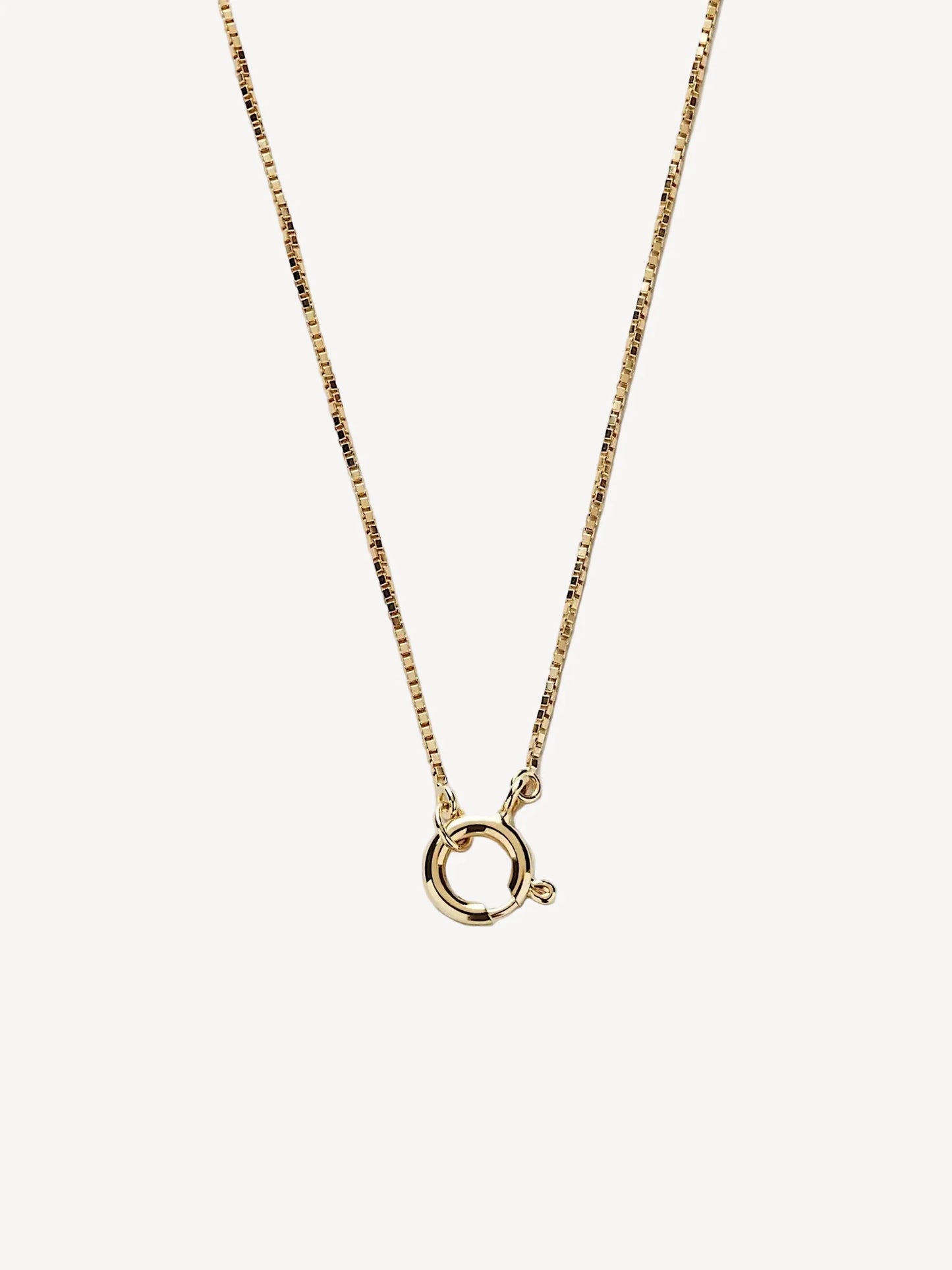 Dainty Charm Necklace – Round Clasp